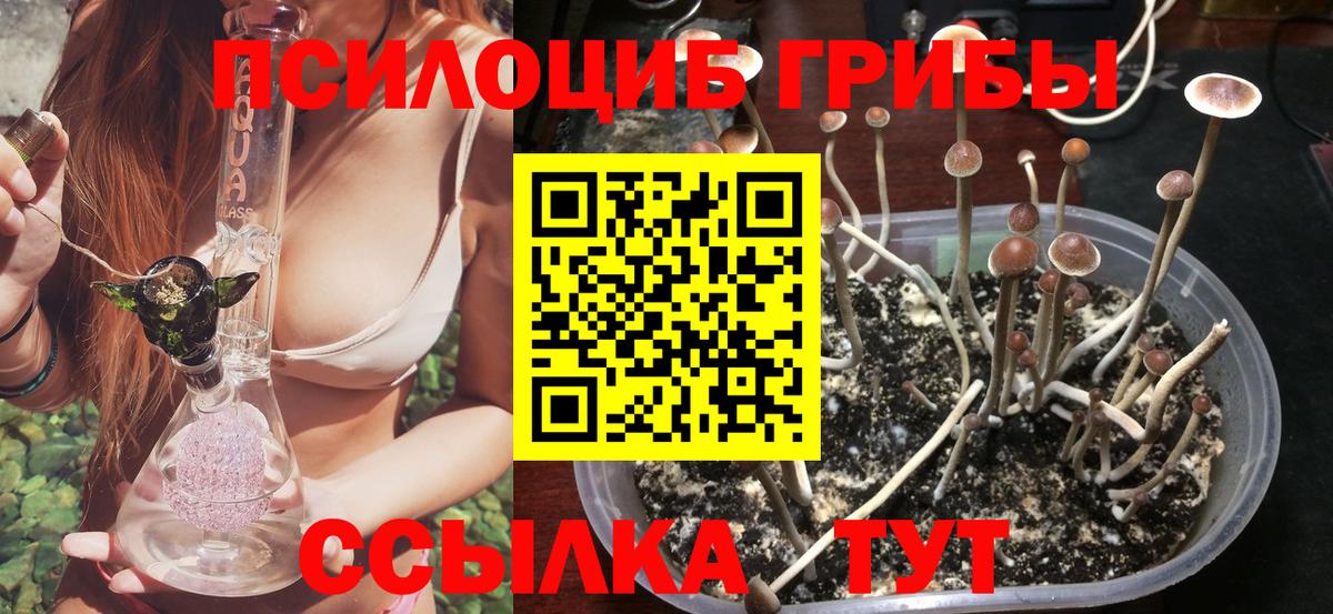 Хасавюрт  Галлюциногенные грибы мицелий  сколько стоит  Вход с VPN 
